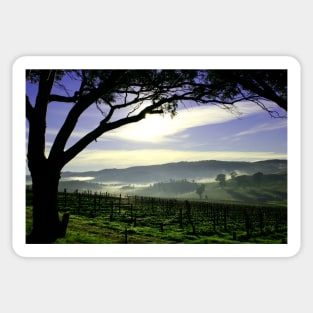 South Australia Barossa Landscape Sticker